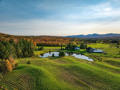 +/- 200 ACRES A MANSONVILLE * A 6 MINUTES D'OWLS HEAD * Nichee - photo 34