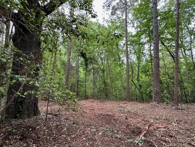 APPROX 70 ACRES OF LAFAYETTE COUNTY MS LAND JOINING THE HOLLY - photo 34