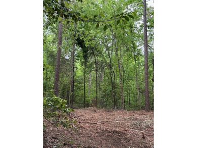 APPROX 70 ACRES OF LAFAYETTE COUNTY MS LAND JOINING THE HOLLY - photo 35