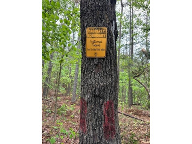 APPROX 70 ACRES OF LAFAYETTE COUNTY MS LAND JOINING THE HOLLY - photo 37