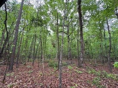APPROX 70 ACRES OF LAFAYETTE COUNTY MS LAND JOINING THE HOLLY - photo 38