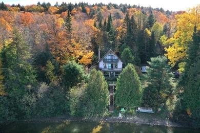 Lake Home For Sale in Amherst,