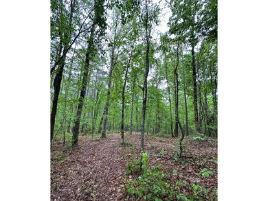 APPROX 70 ACRES OF LAFAYETTE COUNTY MS LAND JOINING THE HOLLY - photo 41