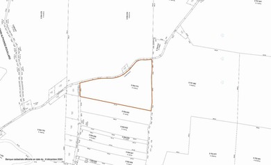 +/- 200 ACRES A MANSONVILLE * A 6 MINUTES D'OWLS HEAD * Nichee - photo 42