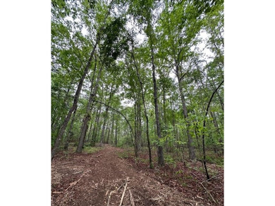 APPROX 70 ACRES OF LAFAYETTE COUNTY MS LAND JOINING THE HOLLY - photo 42