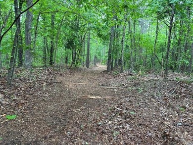 APPROX 70 ACRES OF LAFAYETTE COUNTY MS LAND JOINING THE HOLLY - photo 43