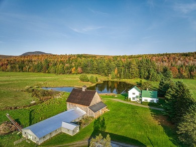 +/- 200 ACRES A MANSONVILLE * A 6 MINUTES D'OWLS HEAD * Nichee - photo 44