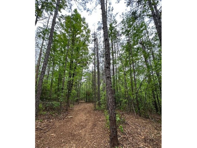 APPROX 70 ACRES OF LAFAYETTE COUNTY MS LAND JOINING THE HOLLY - photo 44