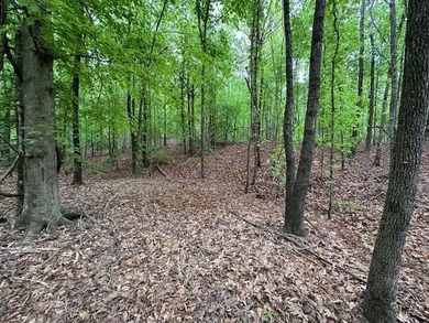 APPROX 70 ACRES OF LAFAYETTE COUNTY MS LAND JOINING THE HOLLY - photo 45