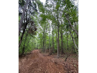 APPROX 70 ACRES OF LAFAYETTE COUNTY MS LAND JOINING THE HOLLY - photo 46