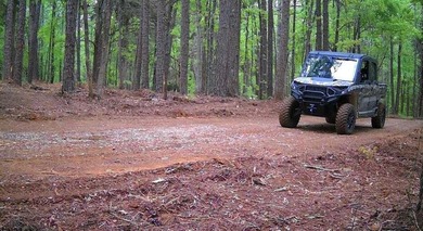 APPROX 70 ACRES OF LAFAYETTE COUNTY MS LAND JOINING THE HOLLY - photo 47