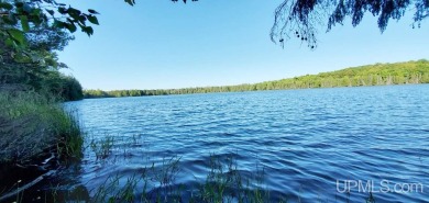 (private lake, pond, creek) Lot For Sale in Stambaugh Michigan