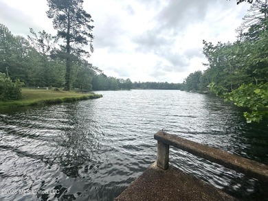 Welcome to the Lake! New listing right on the water perfect for - photo 19
