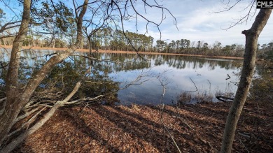 Lake Lot For Sale in Neeses, South Carolina