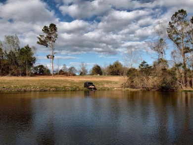 (private lake, pond, creek) Acreage For Sale in Quincy Florida