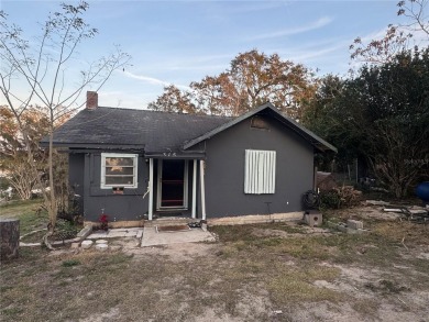 Lake Home For Sale in Dundee, Florida
