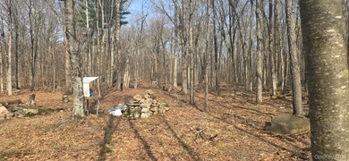 Your Catskill escape starts here. Tucked away on the serene - photo 1