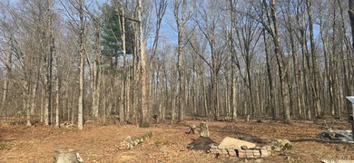 Your Catskill escape starts here. Tucked away on the serene - photo 2