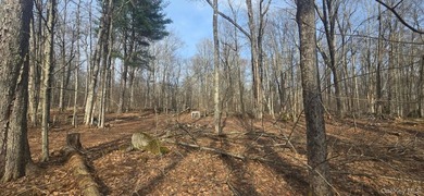 Your Catskill escape starts here. Tucked away on the serene - photo 4