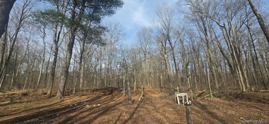 Your Catskill escape starts here. Tucked away on the serene - photo 5