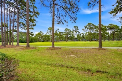 Opportunity awaits in the highly desirable 55+ community of - photo 50