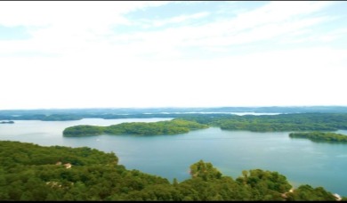 Lake Acreage For Sale in Spring City, Tennessee