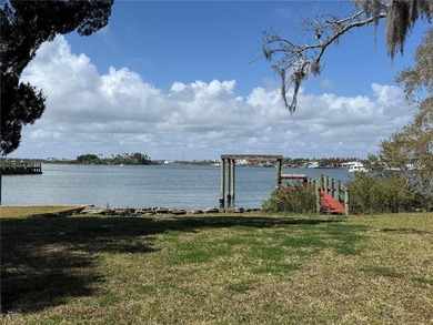 Direct Intracoastal Waterway *Indian River* deep water frontage - photo 11