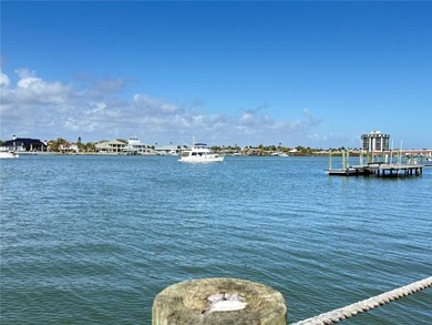 Direct Intracoastal Waterway *Indian River* deep water frontage - photo 13