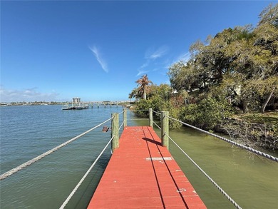Direct Intracoastal Waterway *Indian River* deep water frontage - photo 15