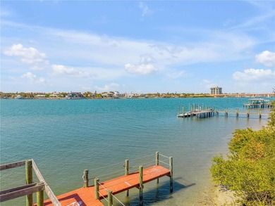 Direct Intracoastal Waterway *Indian River* deep water frontage - photo 21