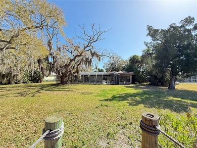 Direct Intracoastal Waterway *Indian River* deep water frontage - photo 25