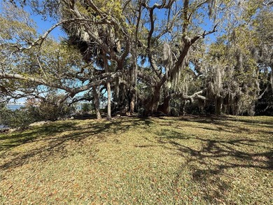 Direct Intracoastal Waterway *Indian River* deep water frontage - photo 26