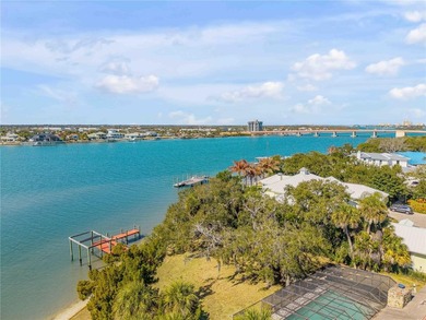 Direct Intracoastal Waterway *Indian River* deep water frontage - photo 28