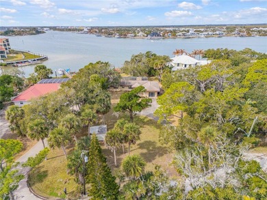 Direct Intracoastal Waterway *Indian River* deep water frontage - photo 31