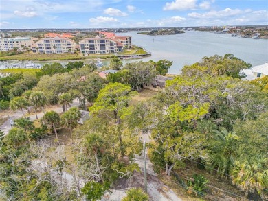 Direct Intracoastal Waterway *Indian River* deep water frontage - photo 34