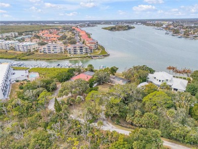 Direct Intracoastal Waterway *Indian River* deep water frontage - photo 35