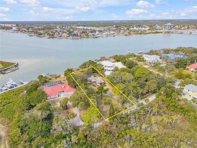 Direct Intracoastal Waterway *Indian River* deep water frontage - photo 37