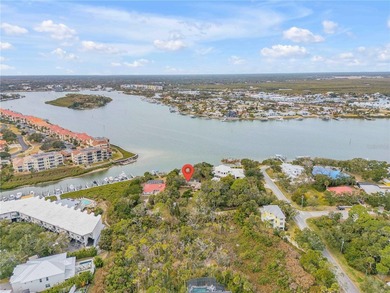 Direct Intracoastal Waterway *Indian River* deep water frontage - photo 45