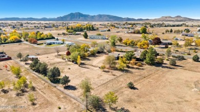 Discover a truly unique opportunity to own two full homes on one