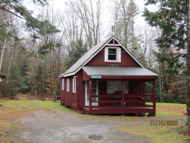Jaquith Pond Home For Sale in Brownville Maine