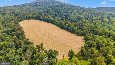 ONCE-IN-A-LIFETIME 257+/- ACRE PROPERTY IN WASHINGTON COUNTY - photo 11