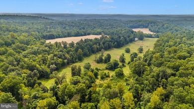 ONCE-IN-A-LIFETIME 257+/- ACRE PROPERTY IN WASHINGTON COUNTY - photo 12