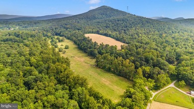 ONCE-IN-A-LIFETIME 257+/- ACRE PROPERTY IN WASHINGTON COUNTY - photo 13