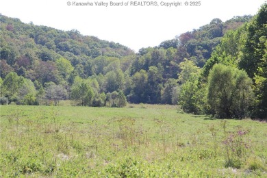 Lake Acreage For Sale in Apple Grove, West Virginia