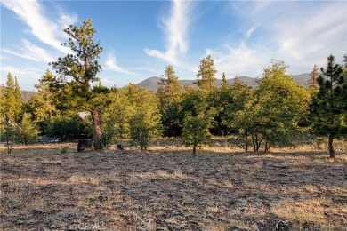 Big Bear Lake Lot For Sale in Big Bear Lake California