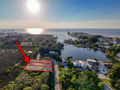 Bring your vision to life on this undeveloped lot in the - photo 1