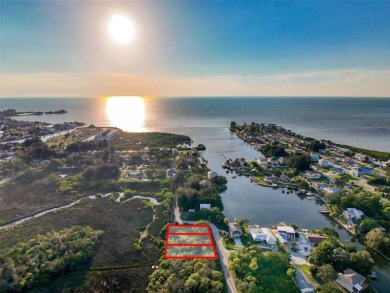 Bring your vision to life on this undeveloped lot in the - photo 3