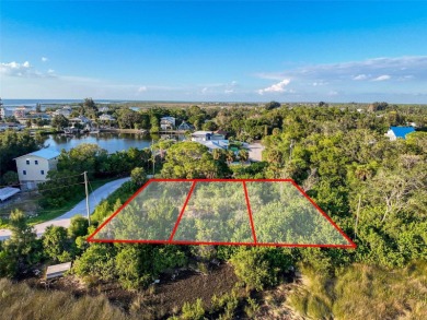 Bring your vision to life on this undeveloped lot in the - photo 5