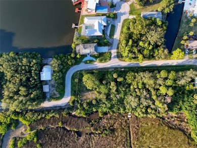 Bring your vision to life on this undeveloped lot in the - photo 8