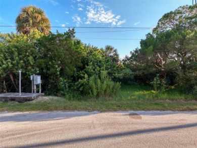 Bring your vision to life on this undeveloped lot in the - photo 9